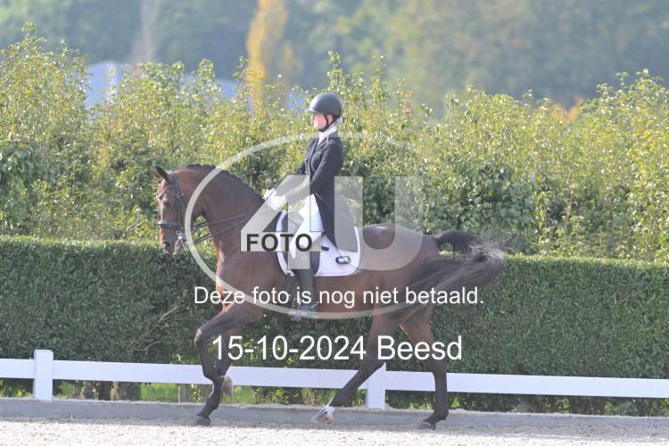 241015 0441