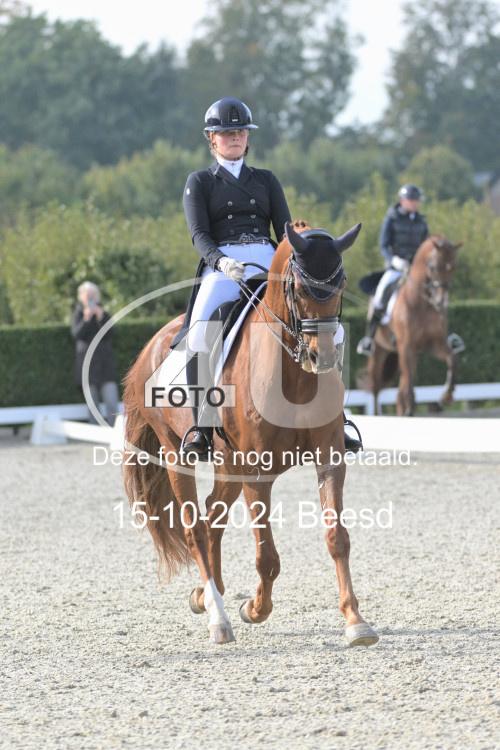 241015 0477