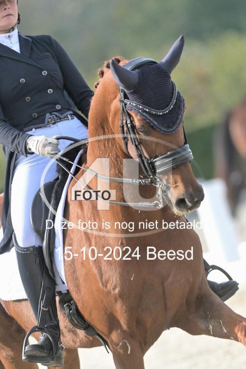 241015 0480