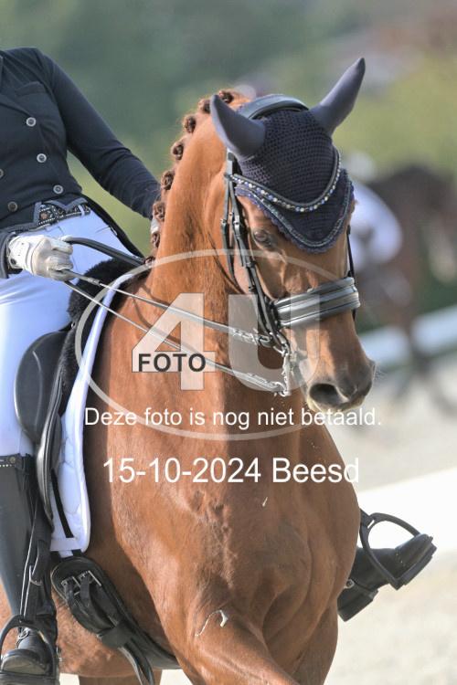 241015 0481