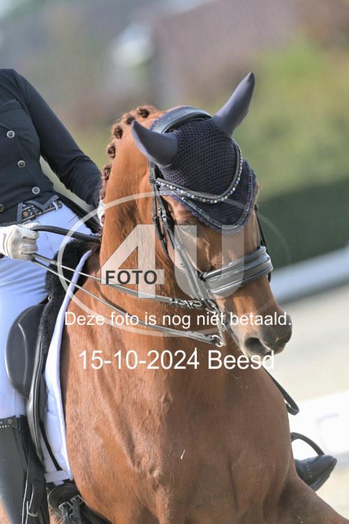 241015 0482