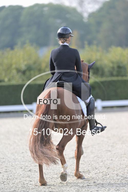 241015 0485