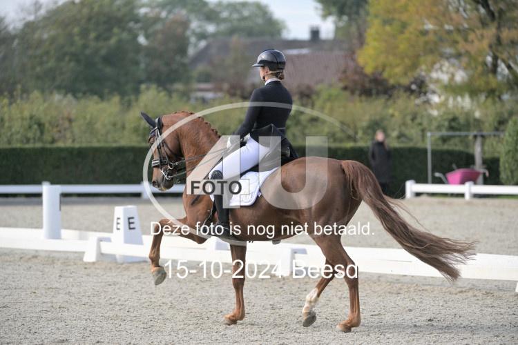241015 0510