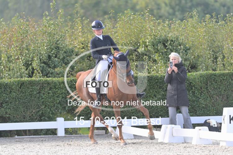 241015 0516