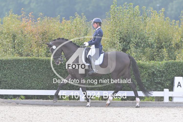 241015 0554