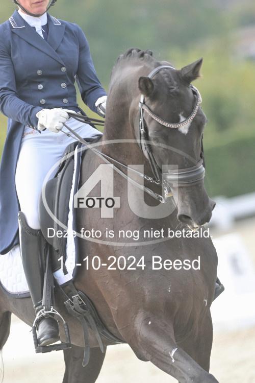 241015 0571