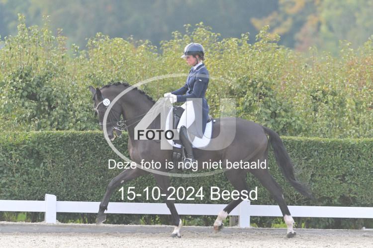 241015 0578