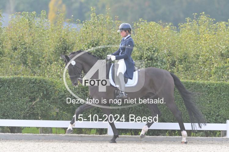 241015 0579