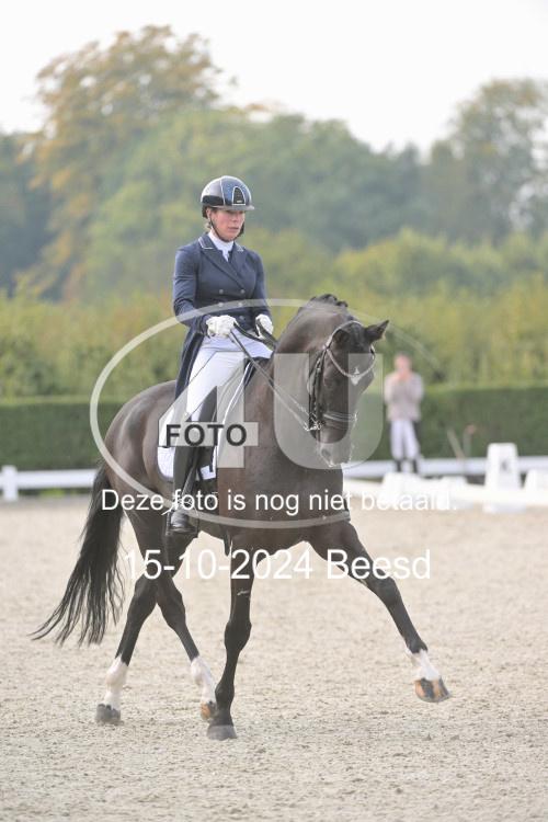 241015 0590