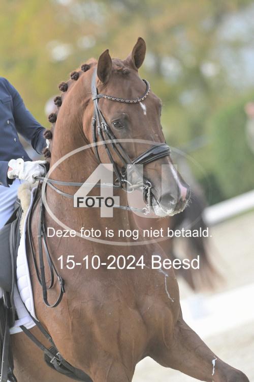 241015 0733
