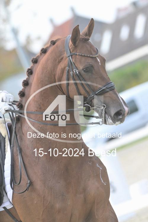241015 0734