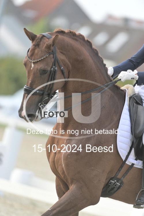241015 0736
