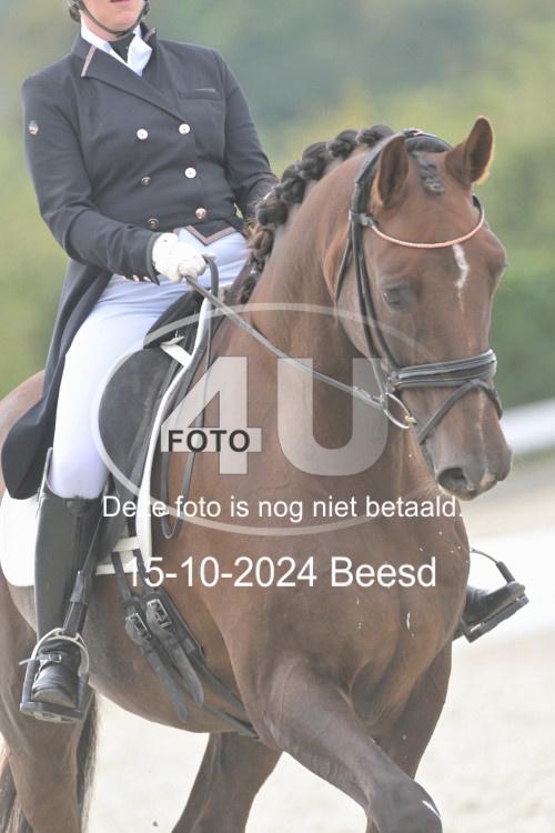 241015 0781