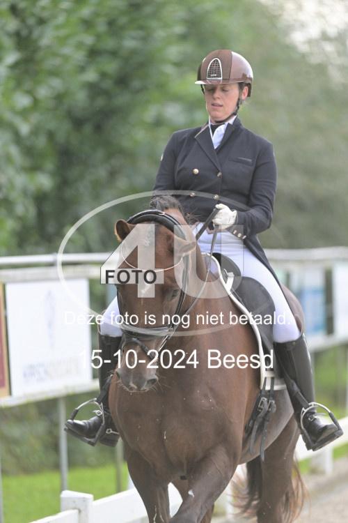 241015 0804