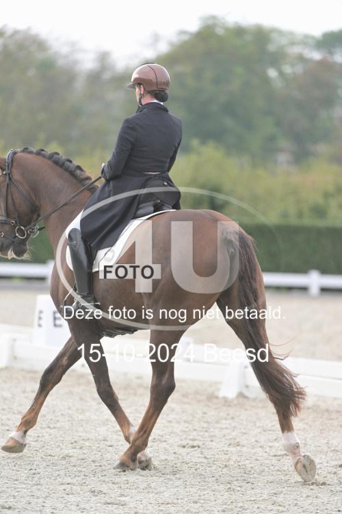 241015 0805