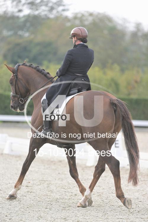 241015 0806