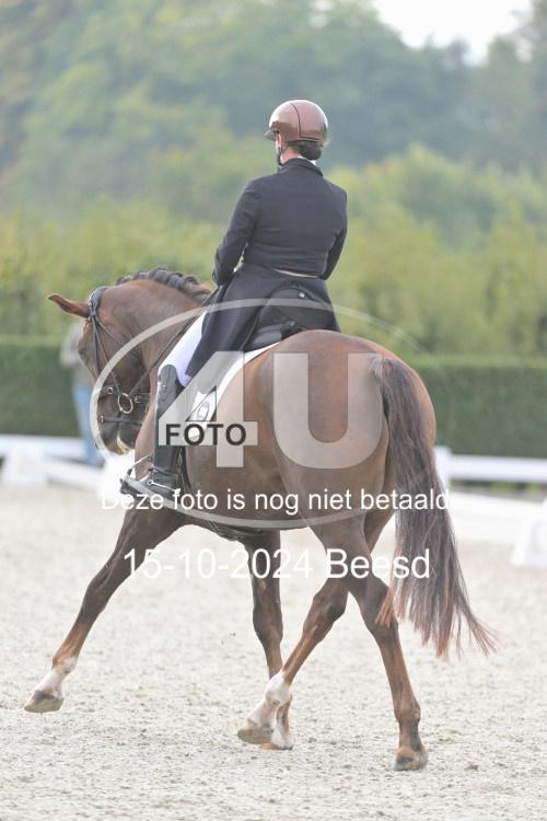 241015 0808