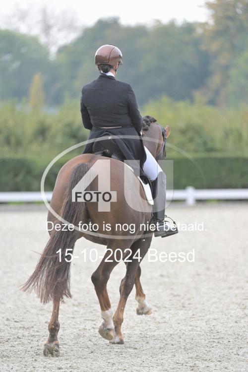 241015 0844