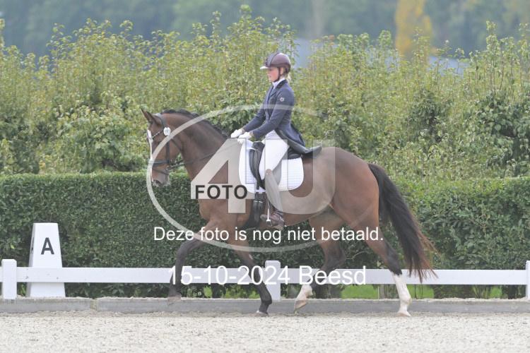 241015 0849