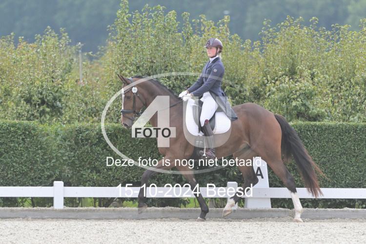 241015 0851