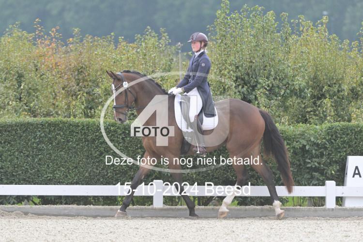 241015 0852