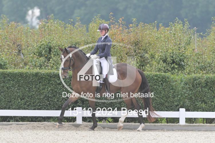 241015 0853
