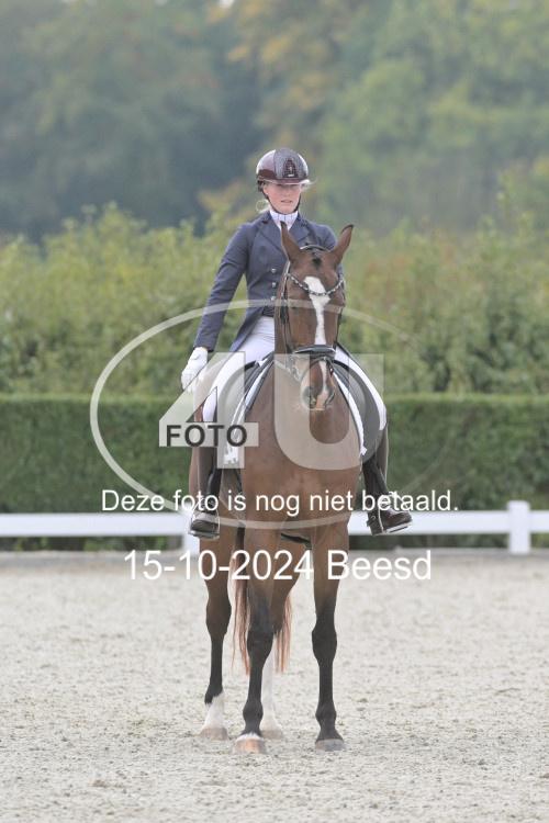 241015 0859