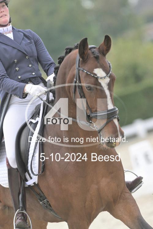 241015 0868