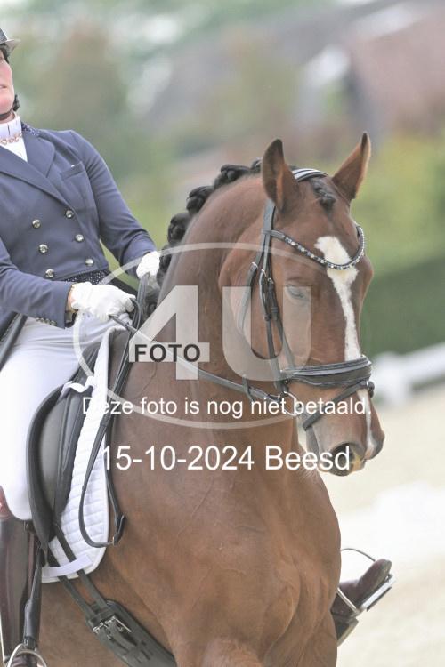 241015 0869