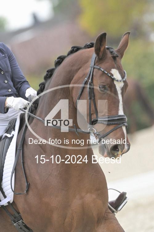 241015 0870
