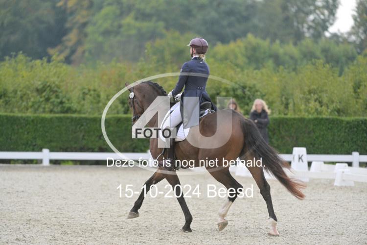 241015 0878