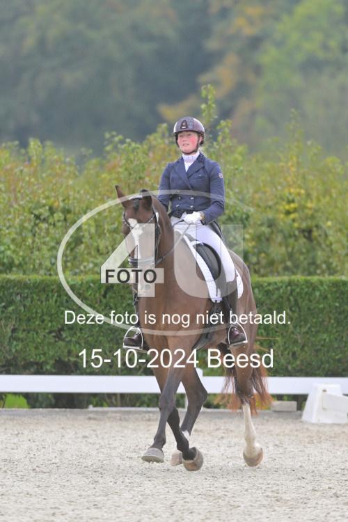 241015 0902