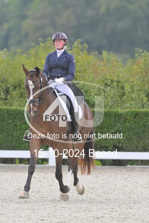 241015 0904