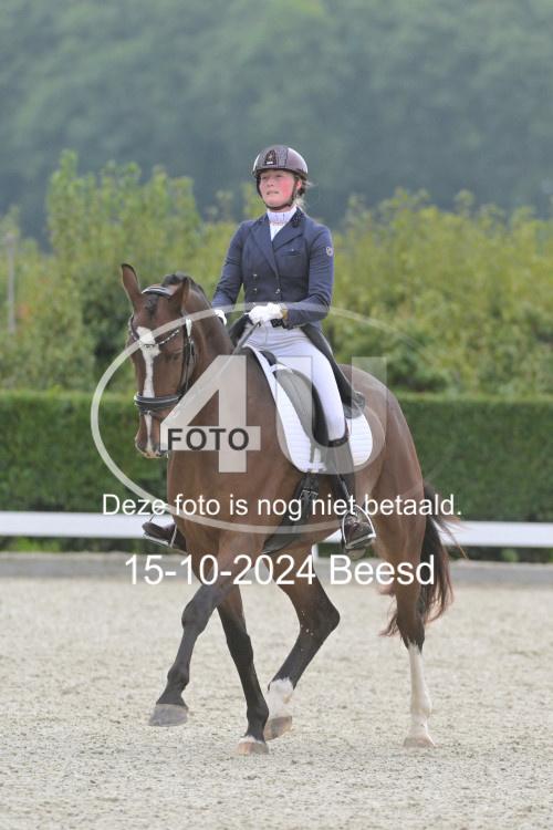 241015 0908