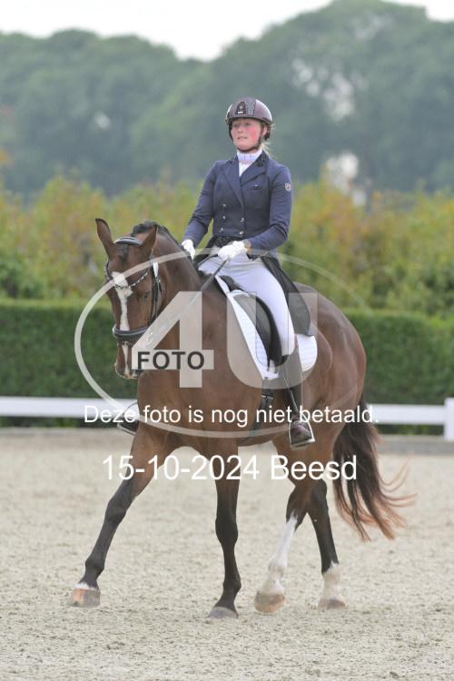 241015 0910
