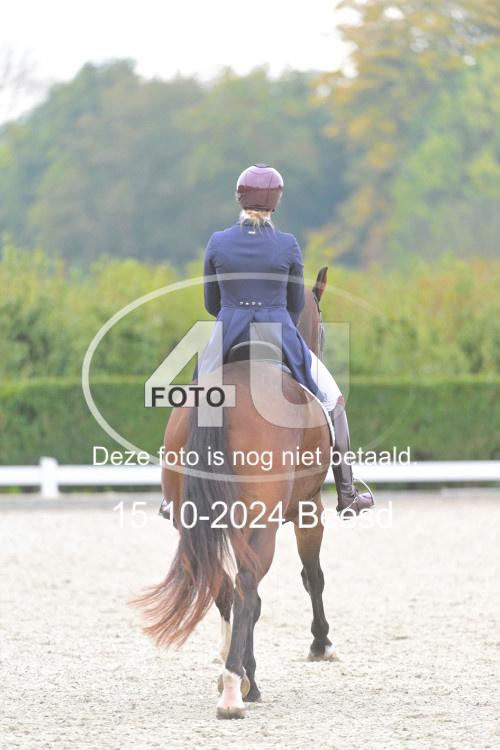 241015 0941