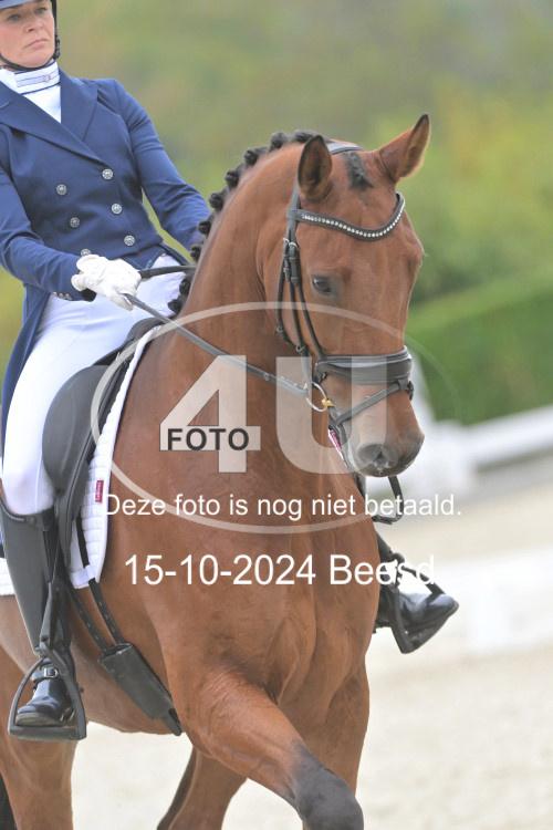 241015 0968