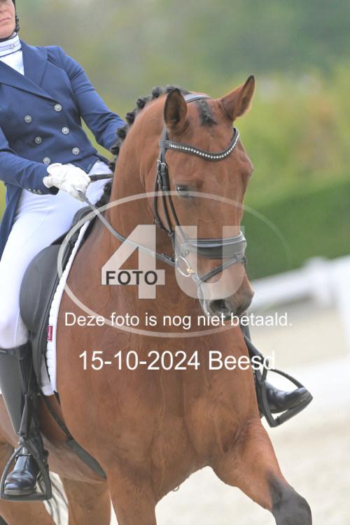 241015 0969