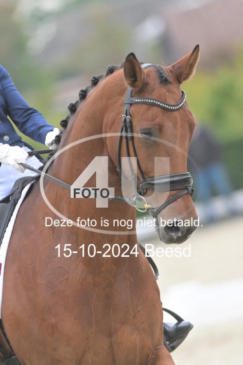 241015 0971