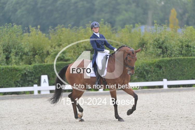 241015 0979