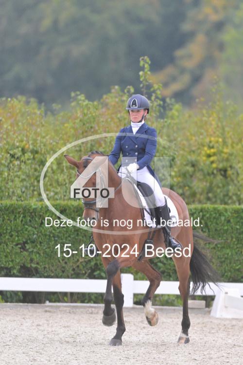 241015 0993
