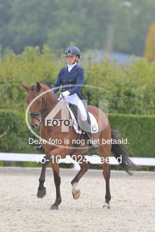 241015 0997