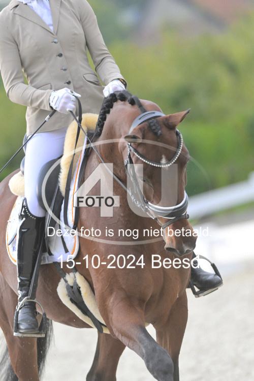 241015 1048