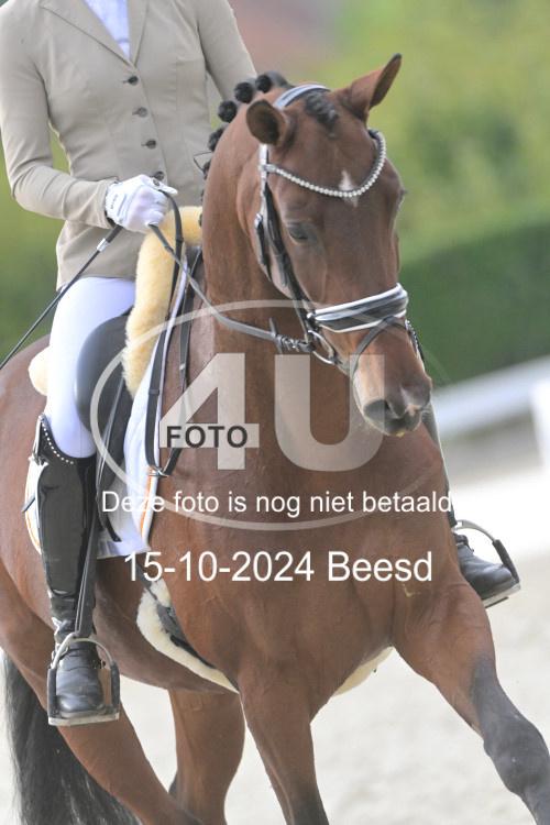 241015 1049