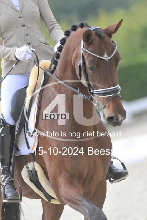 241015 1050