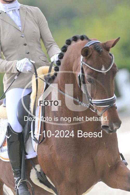 241015 1051