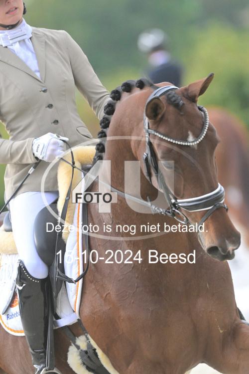241015 1052