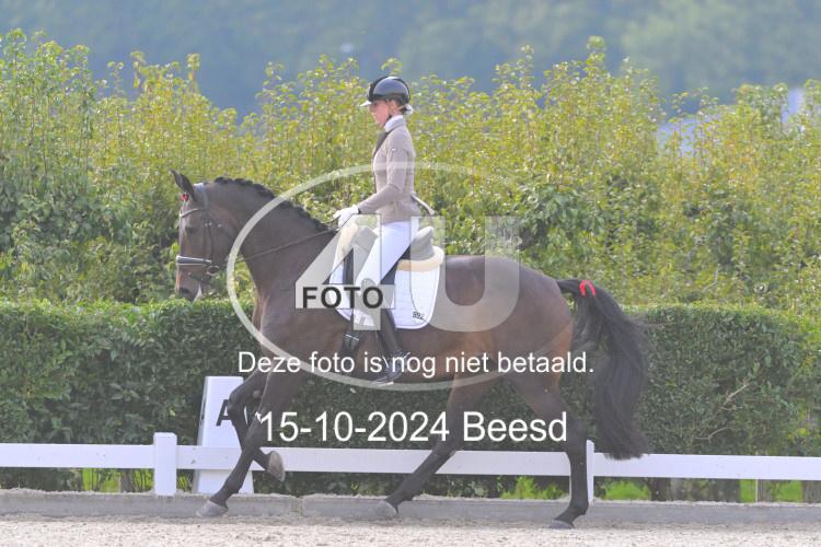 241015 1103