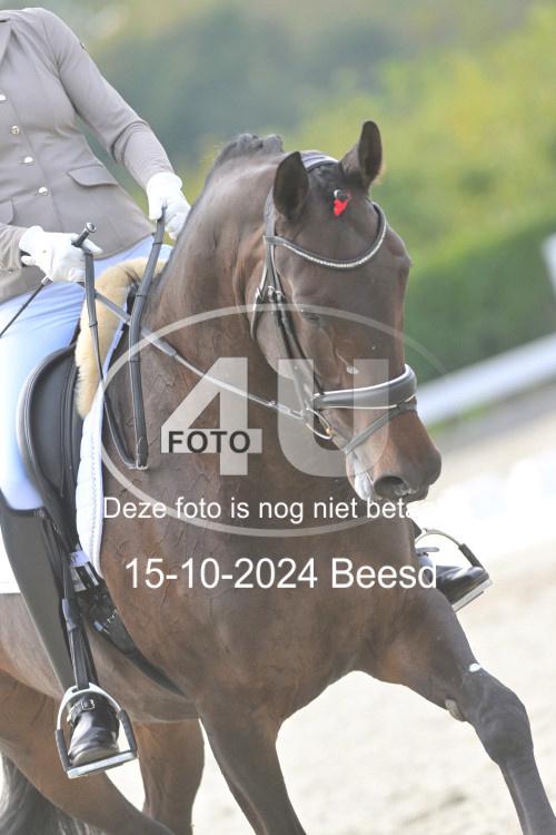241015 1113