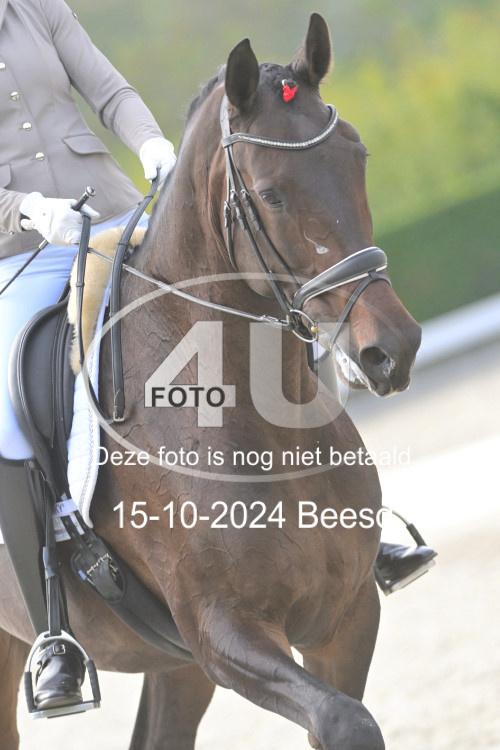 241015 1114